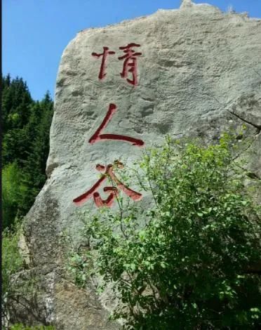 1 1