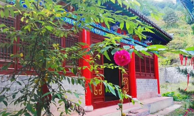 圖片 圖片