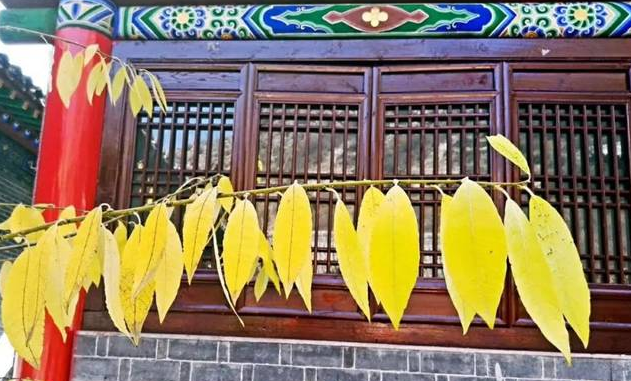 圖片 圖片